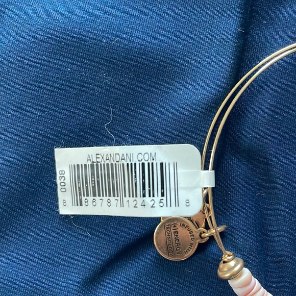 NWT Alex and Ani expandable bracelet - Picture 4 of 4